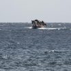 UN says 144 migrants and refugees reported dead or missing off the coast of Mauritania