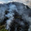 Vorig jaar flink minder Amazoneregenwoud afgebrand