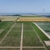 In Zeeland wordt de aardappel van de toekomst ontworpen