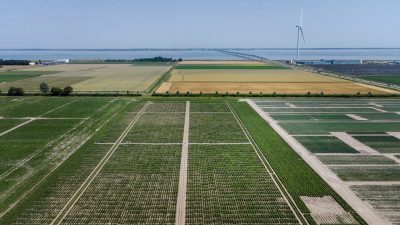 In Zeeland wordt de aardappel van de toekomst ontworpen