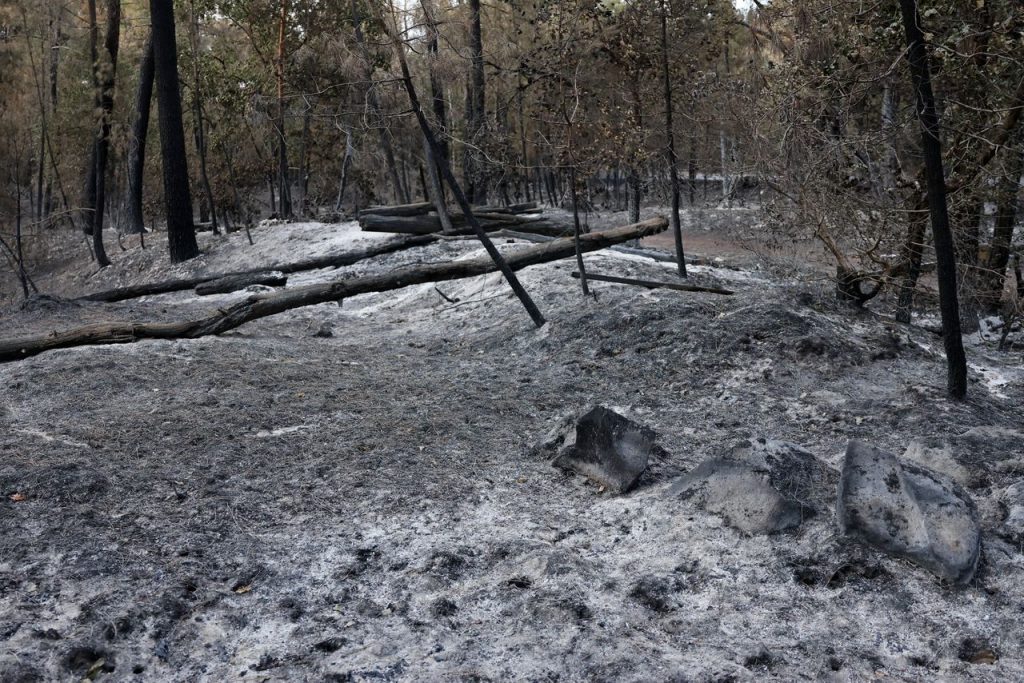 De natuurbrand in Fontainebleau is mogelijk door een brandweerman aangestoken. Wat maakt een brandstichter een pyromaan?
