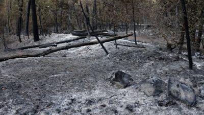 De natuurbrand in Fontainebleau is mogelijk door een brandweerman aangestoken. Wat maakt een brandstichter een pyromaan?