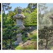 Adobe crams multiple AI tools into its experimental camera app