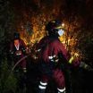 Morgen code rood in vier Franse regio’s wegens ‘zeer groot’ risico op bosbranden